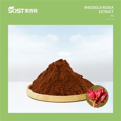 Cysylltwch â Nike 20240808